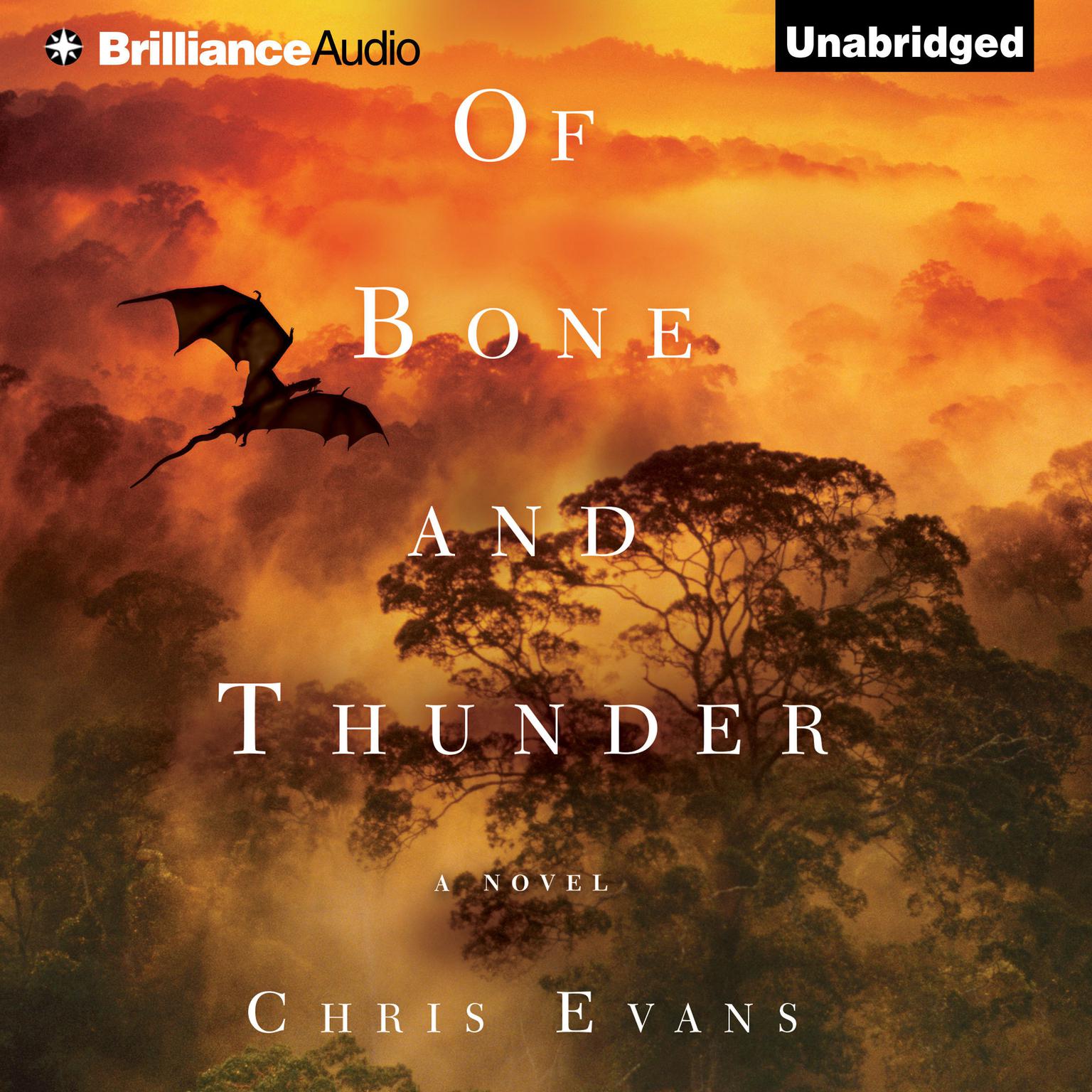 Of Bone and Thunder: A Novel Audiobook, by Chris Evans