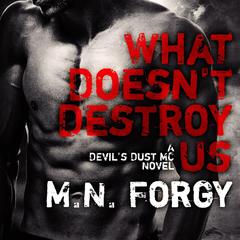 What Doesnt Destroy Us Audiobook, by M. N. Forgy