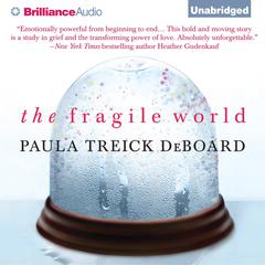 The Fragile World: A Novel Audiobook, by Paula Treick DeBoard