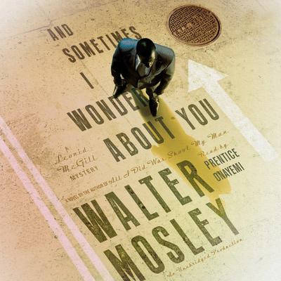 And Sometimes I Wonder About You: A Leonid McGill Mystery Audiobook, by 