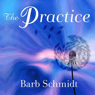 The Practice: Simple Tools for Managing Stress, Finding Inner Peace, and Uncovering Happiness Audiobook, by Barb Schmidt