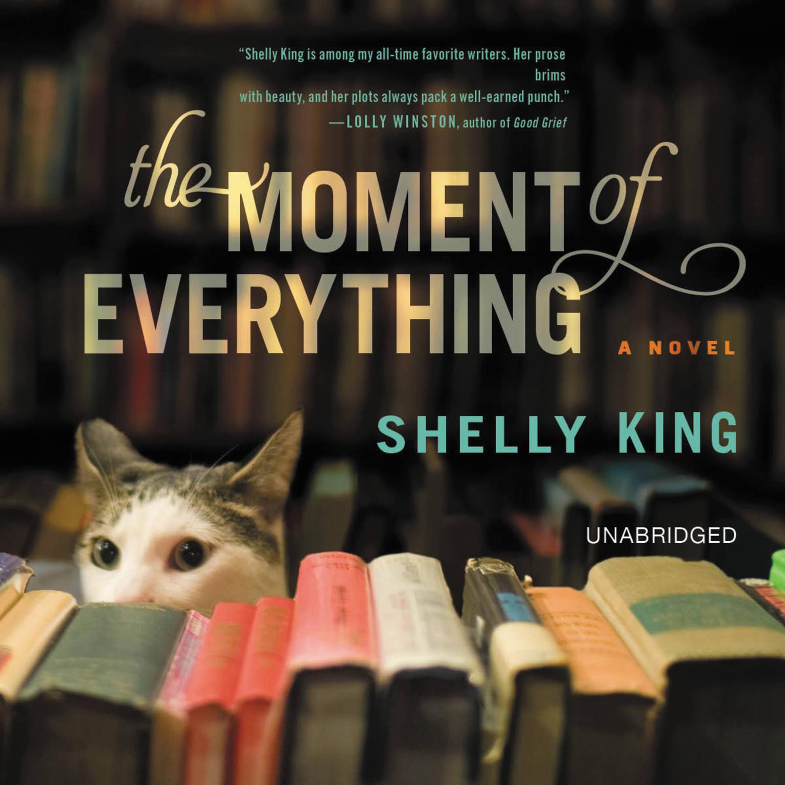 The Moment of Everything: A Novel Audiobook, by Shelly King