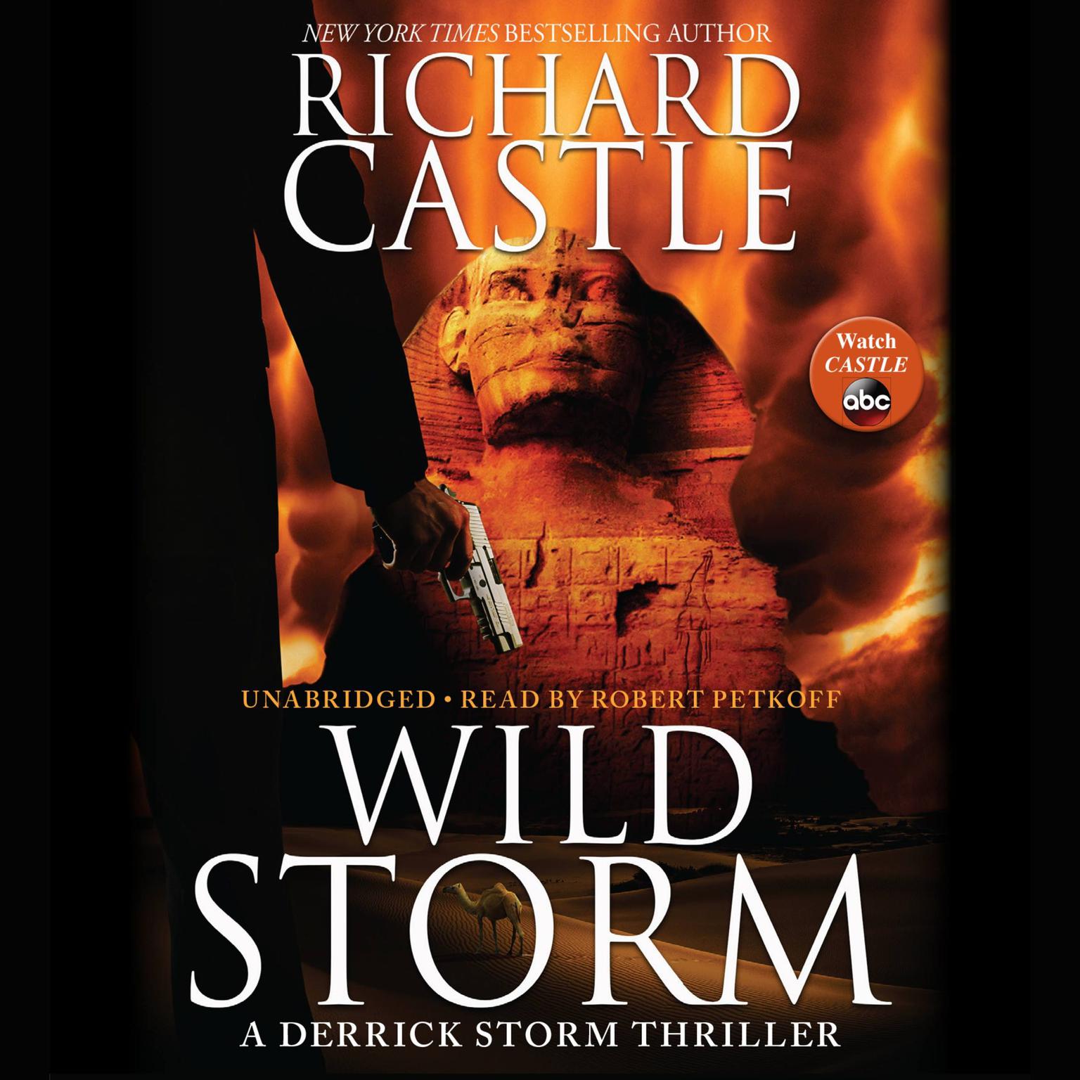 Wild Storm: A Derrick Storm Thriller Audiobook, by Richard Castle