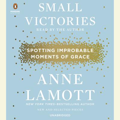 Small Victories: Spotting Improbable Moments of Grace Audiobook, by Anne Lamott