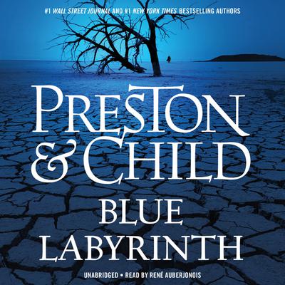 Blue Labyrinth Audiobook, by Douglas Preston