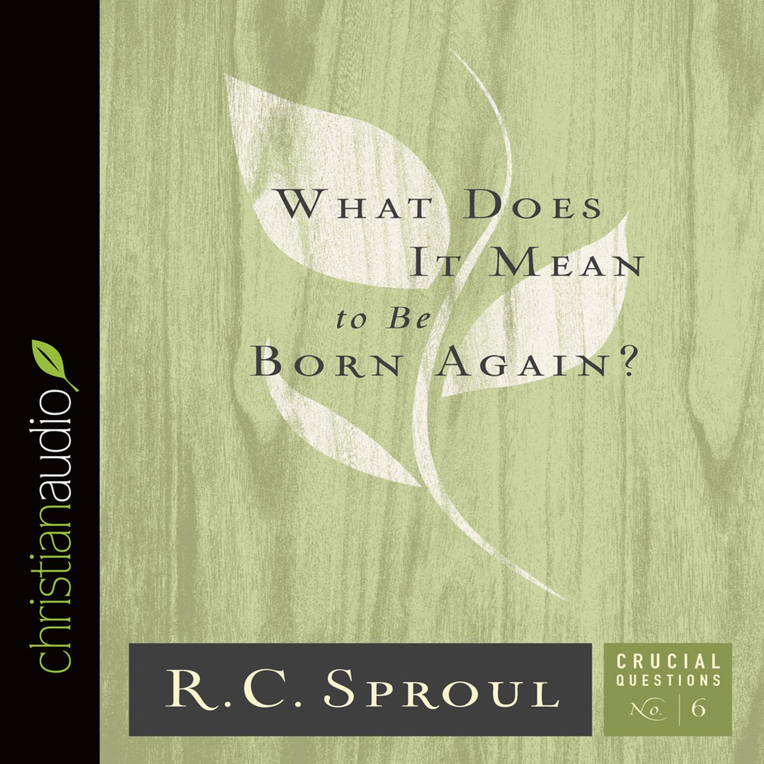 What Does It Mean to Be Born Again? Audiobook, by R. C. Sproul