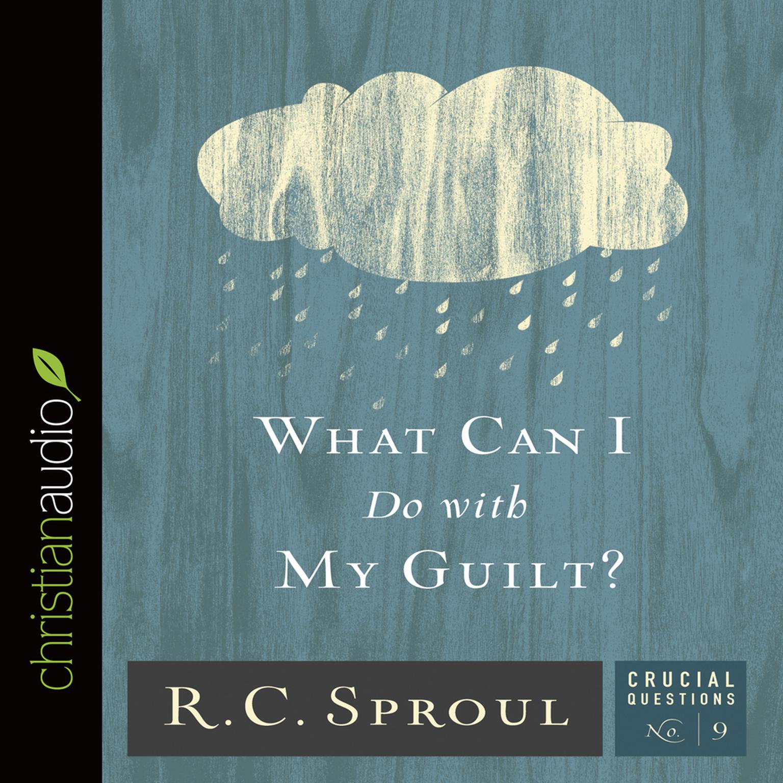 What Can I Do With My Guilt? Audiobook, by R. C. Sproul