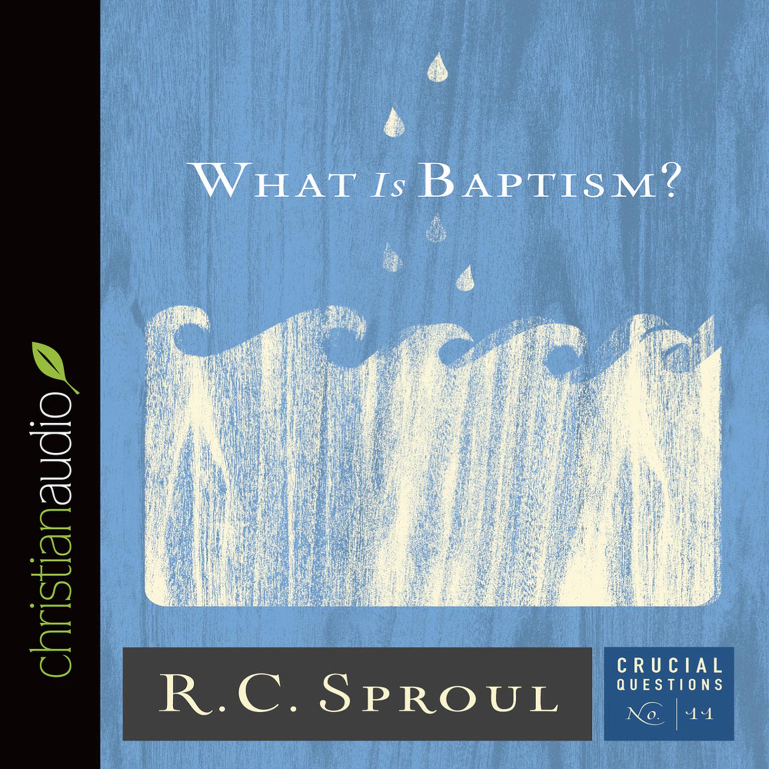 What Is Baptism? Audiobook, by R. C. Sproul