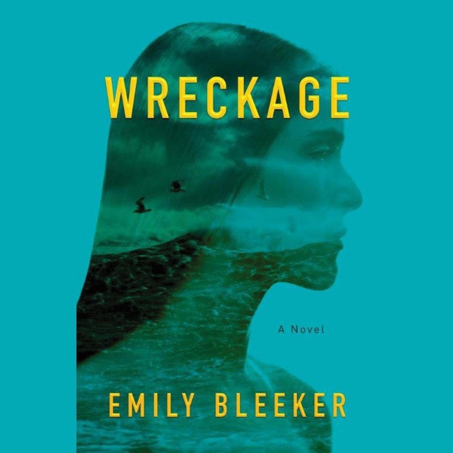 Wreckage Audiobook, by Emily Bleeker