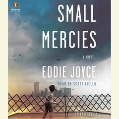 Small Mercies: A Novel Audiobook, by Eddie Joyce