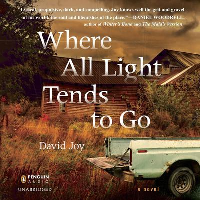Where All Light Tends to Go Audiobook, by David Joy