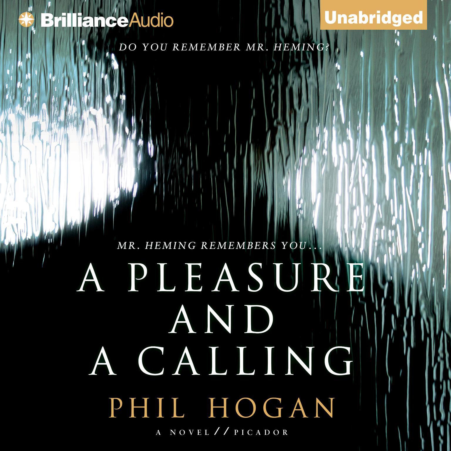A Pleasure and a Calling: A Novel Audiobook, by Phil Hogan
