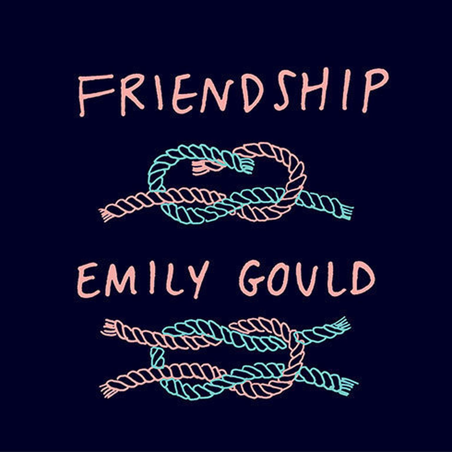 Friendship Audiobook, by Emily Gould