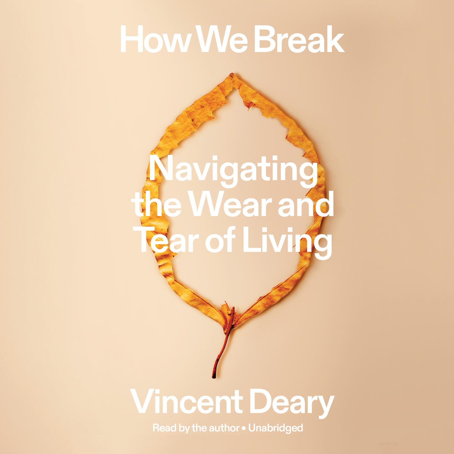 How We Break: Navigating the Wear and Tear of Living Audiobook, by Vincent Deary