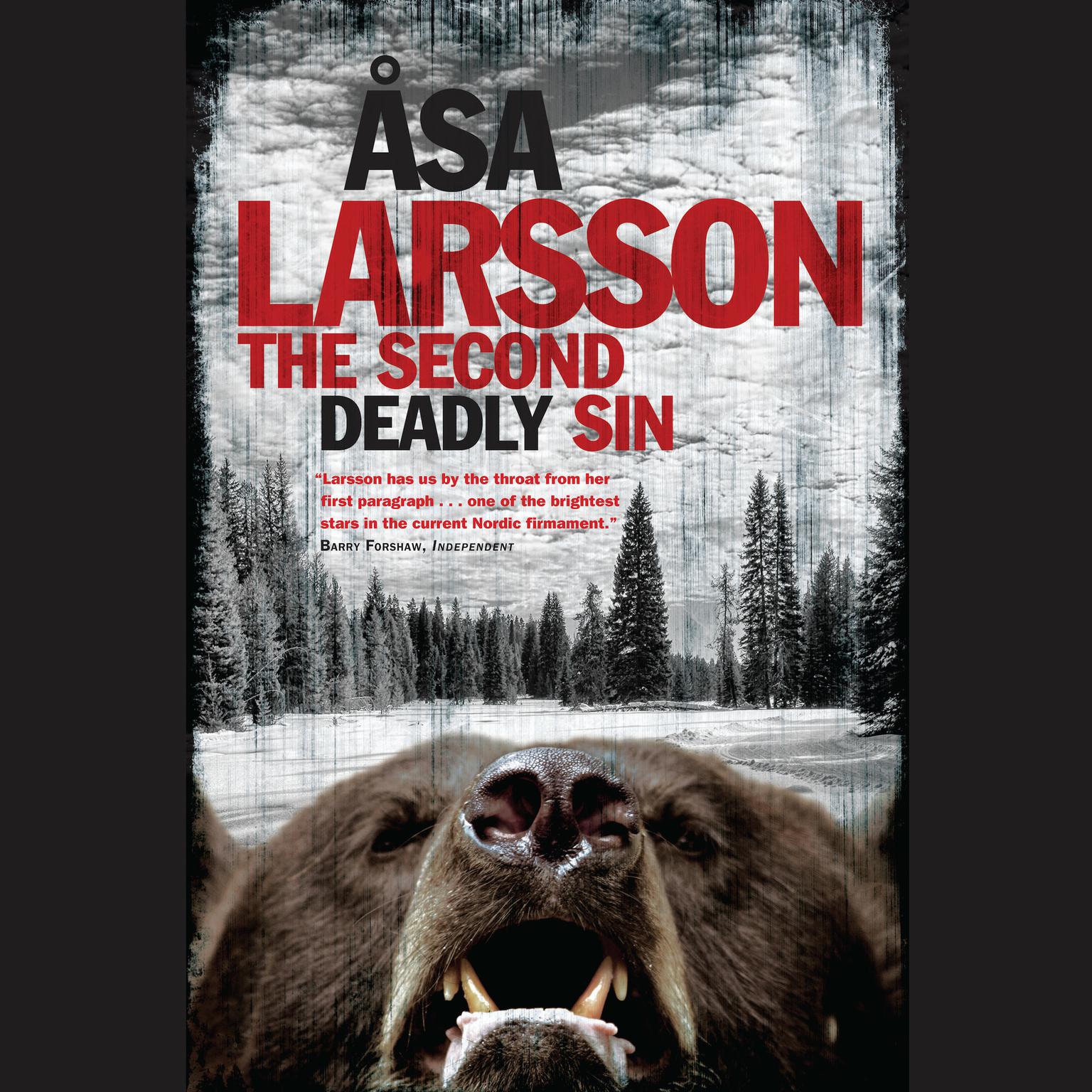 The Second Deadly Sin Audiobook, by Åsa Larsson