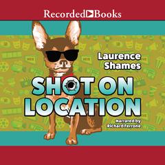 Shot on Location Audiobook, by Laurence Shames