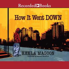 How It Went Down Audiobook, by Kekla Magoon