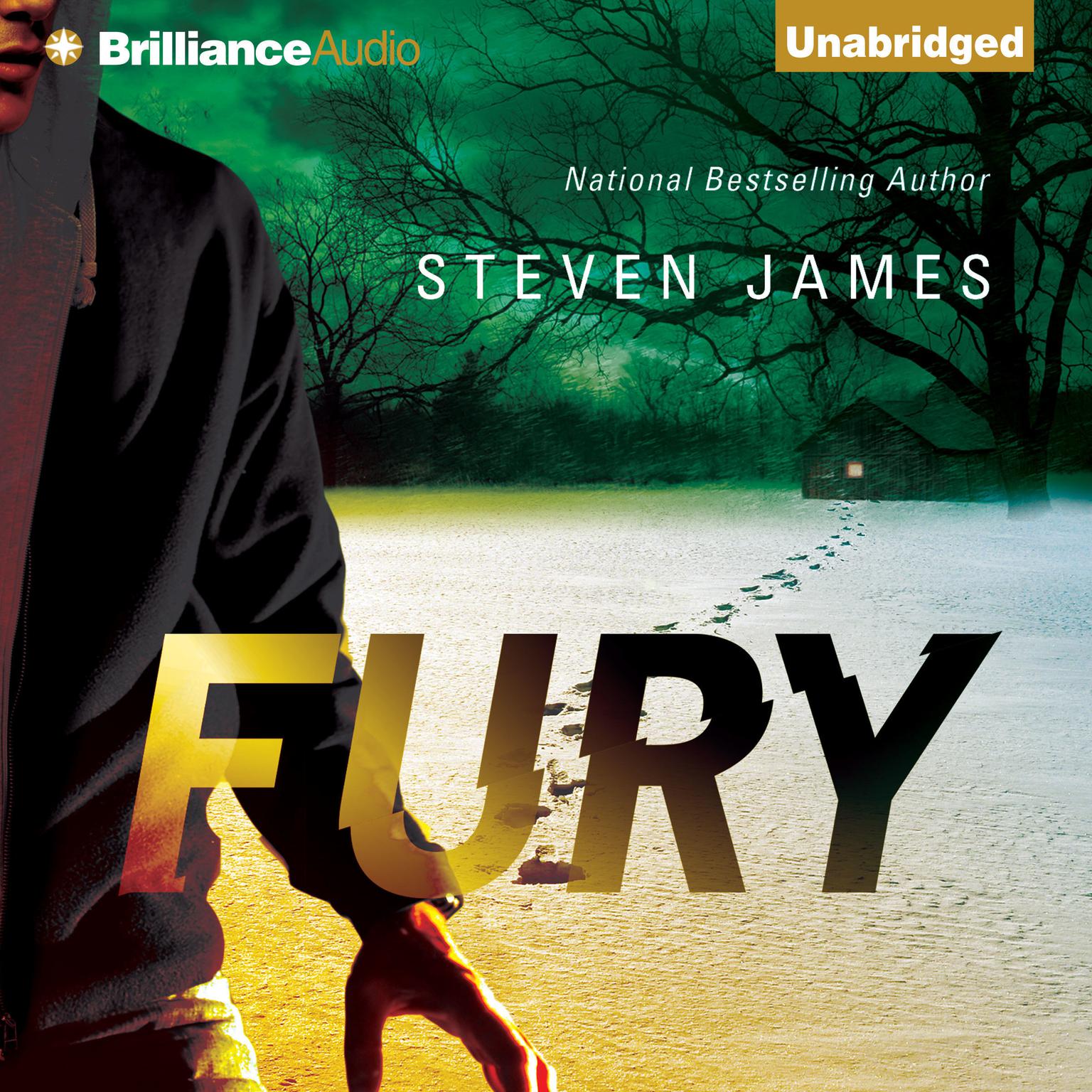Fury Audiobook, by Steven James