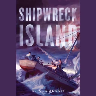 Shipwreck Island Audiobook, by S. A. Bodeen
