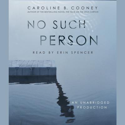 No Such Person Audiobook, by 