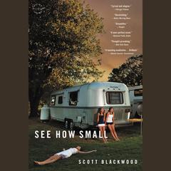 See How Small: A Novel Audiobook, by Scott Blackwood