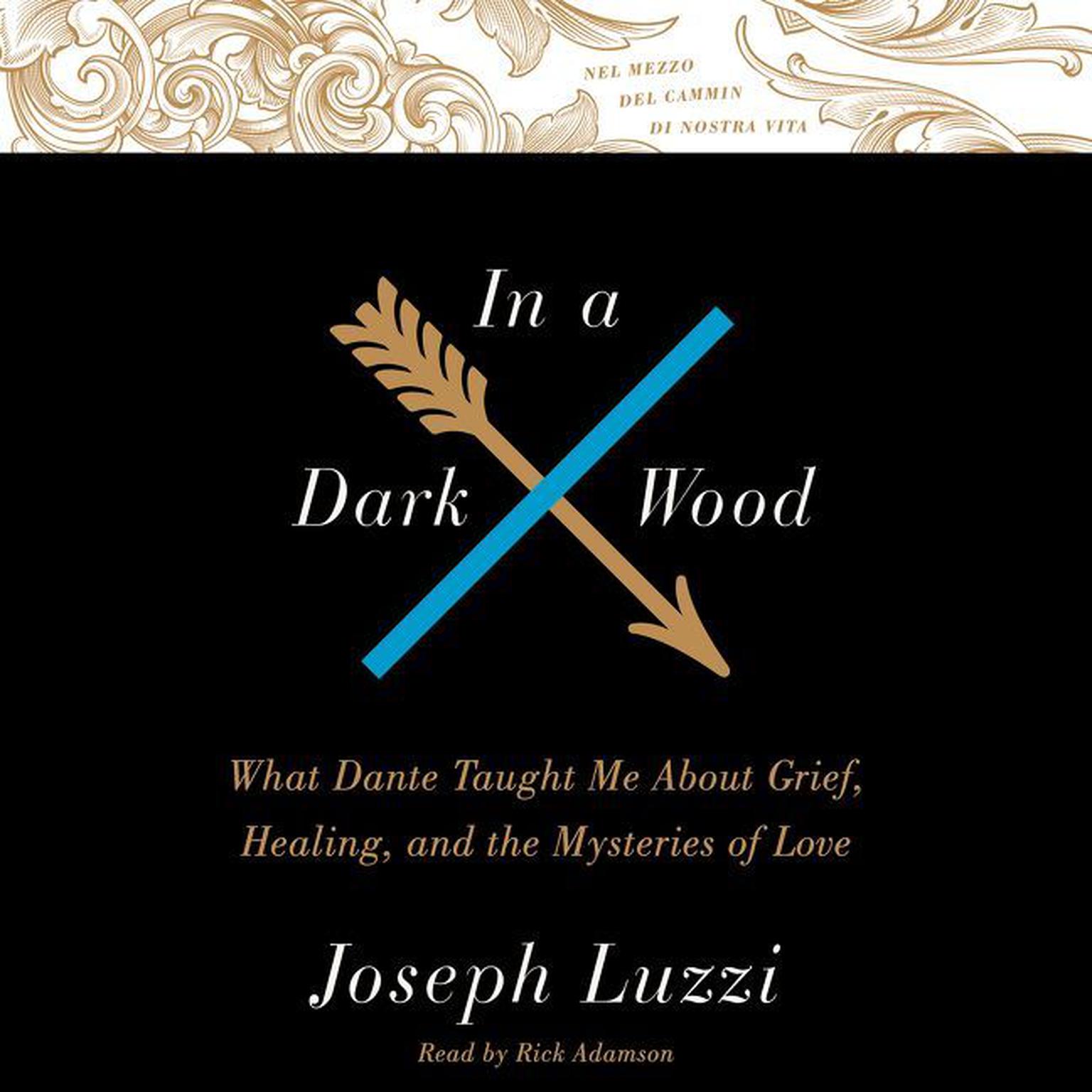 In A Dark Wood: What Dante Taught Me About Grief, Healing, and the Mysteries of Love Audiobook, by Joseph Luzzi