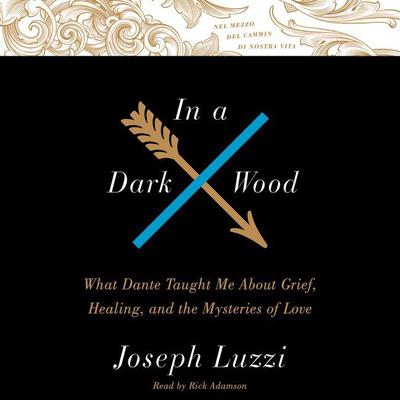 In A Dark Wood: What Dante Taught Me About Grief, Healing, and the Mysteries of Love Audiobook, by Joseph Luzzi