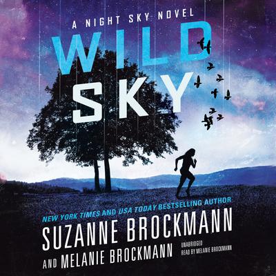 Wild Sky Audiobook, by Suzanne Brockmann