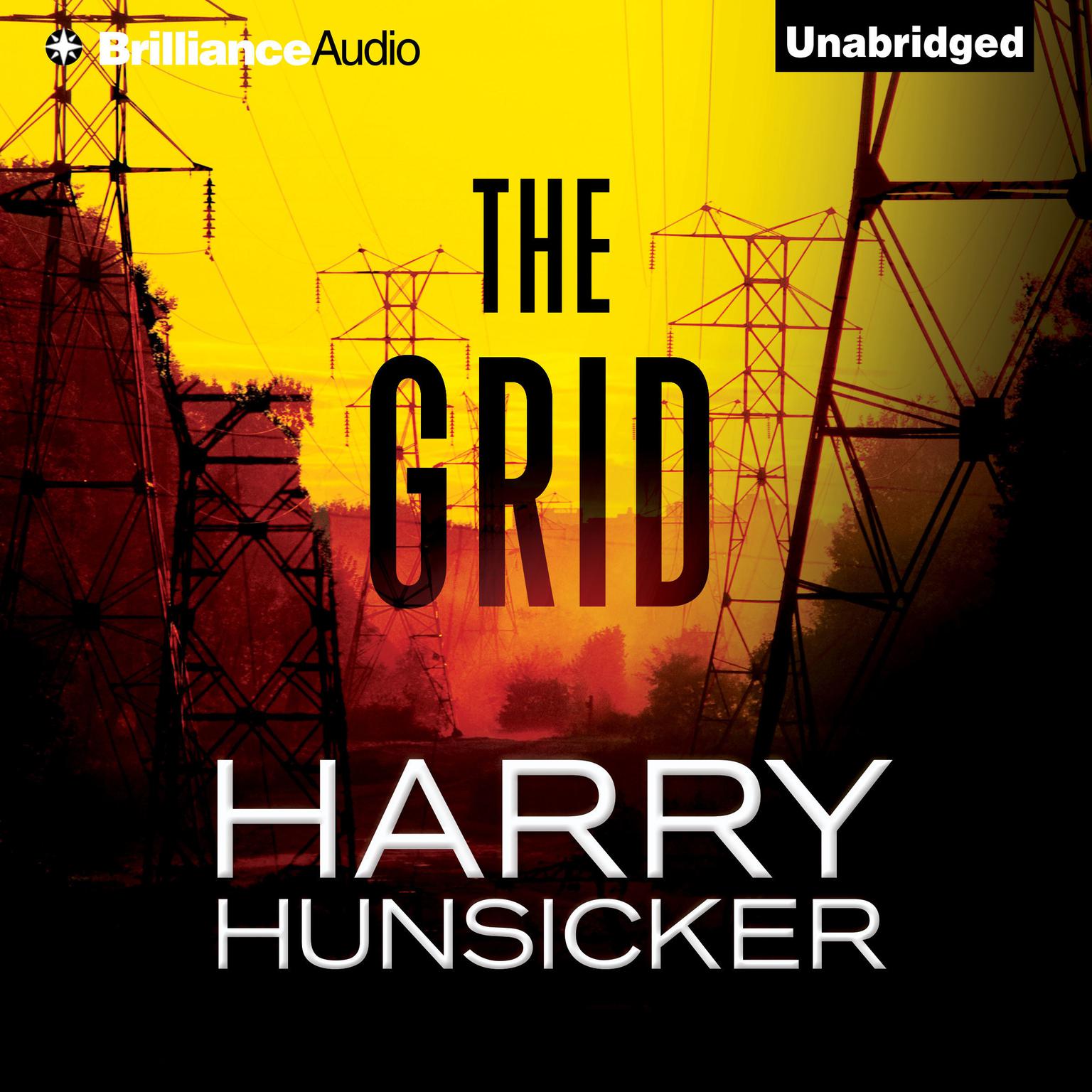 The Grid Audiobook, by Harry Hunsicker