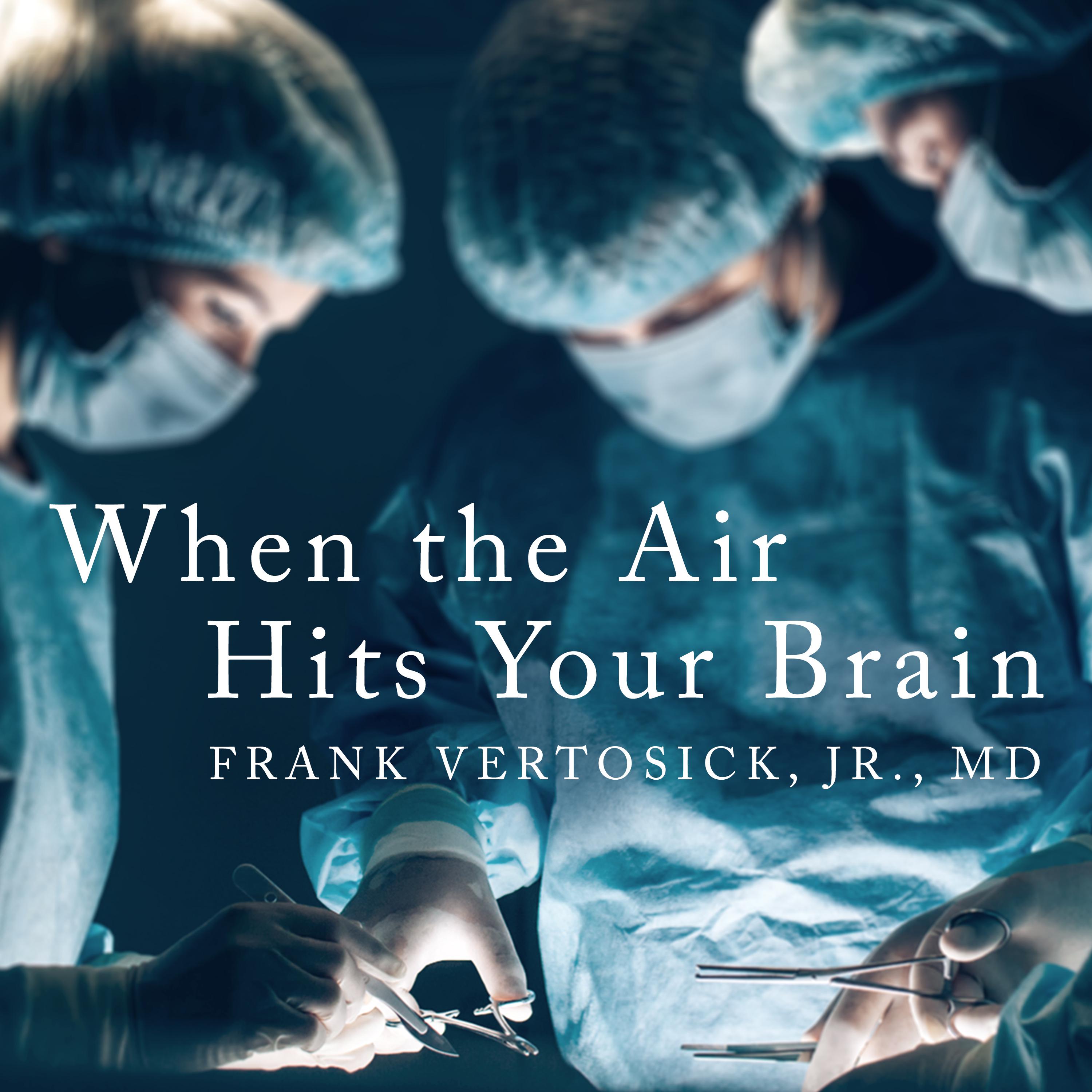 When the Air Hits Your Brain Audiobook Listen Instantly!