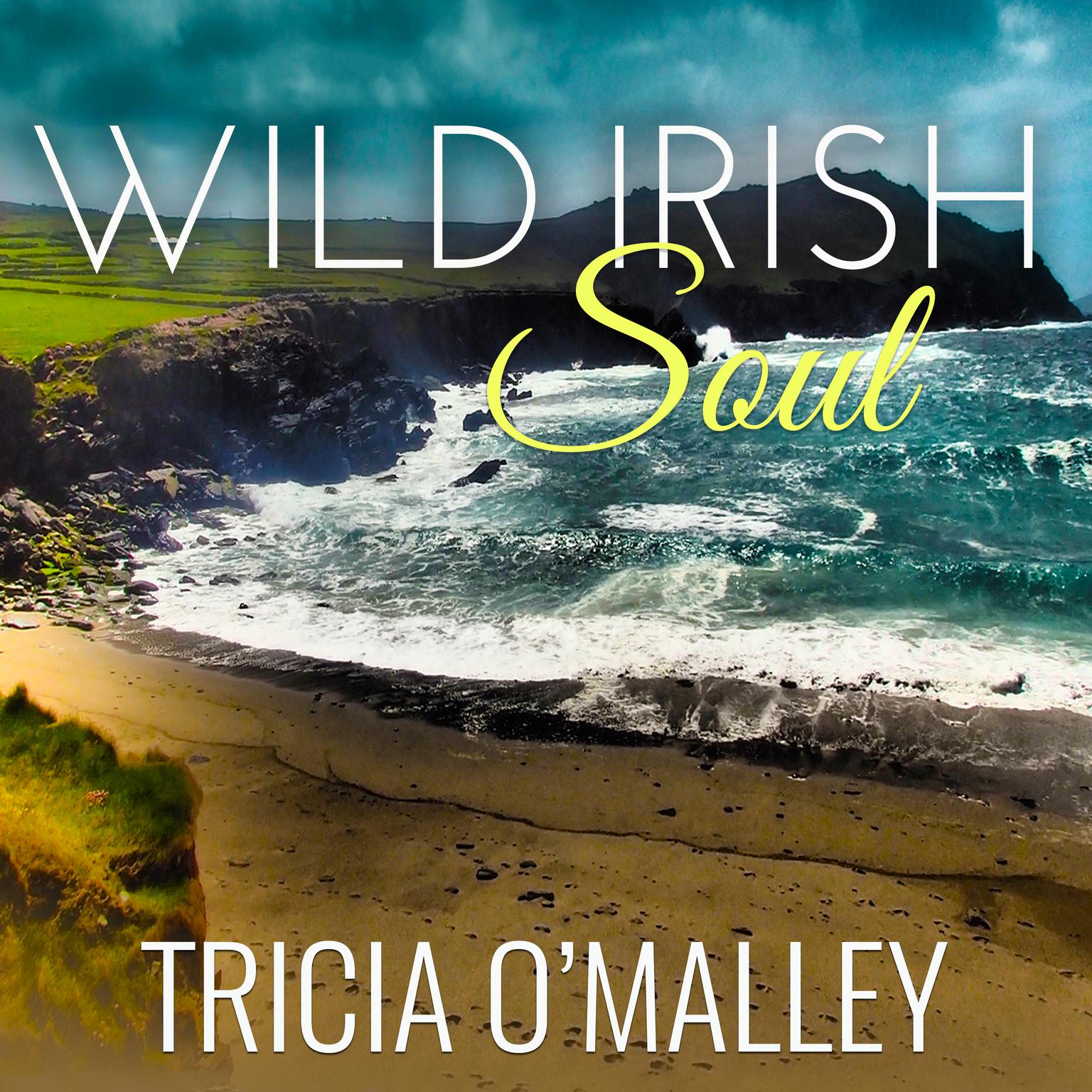 Wild Irish Soul Audiobook, by Tricia O'Malley
