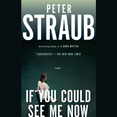 If You Could See Me Now Audiobook, by Peter Straub