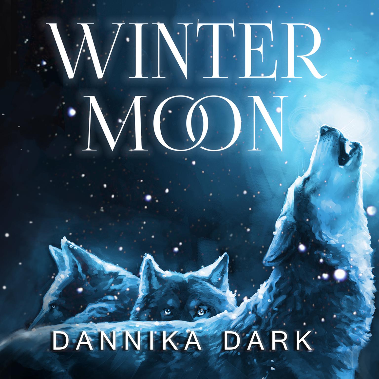 Winter Moon Audiobook, by Dannika Dark