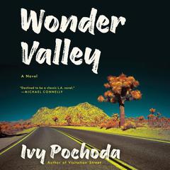 Wonder Valley: A Novel Audiobook, by Ivy Pochoda