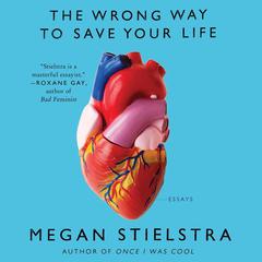 The Wrong Way to Save Your Life: Essays Audiobook, by Megan Stielstra