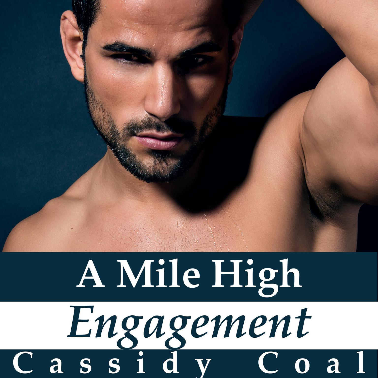 A Mile High Engagement (A Mile High Romance Book 6) Audiobook, by Cassidy Coal