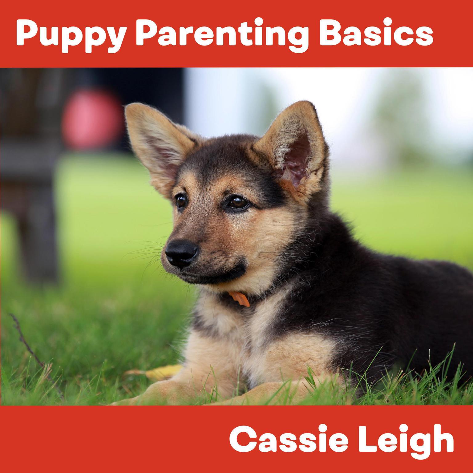 Puppy Parenting Basics Audiobook, by Cassie Leigh