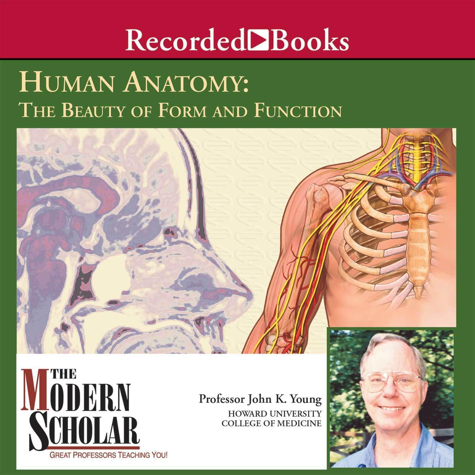 Human Anatomy: The Beauty of Form and Function Audiobook, by John K. Young