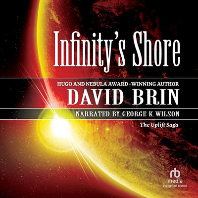 Infinity's Shore Audiobook, by David Brin