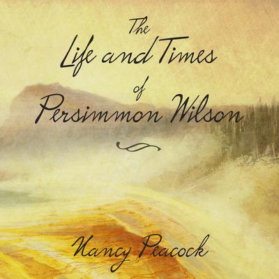 The Life and Times of Persimmon Wilson: A Novel Audiobook, by Nancy Peacock