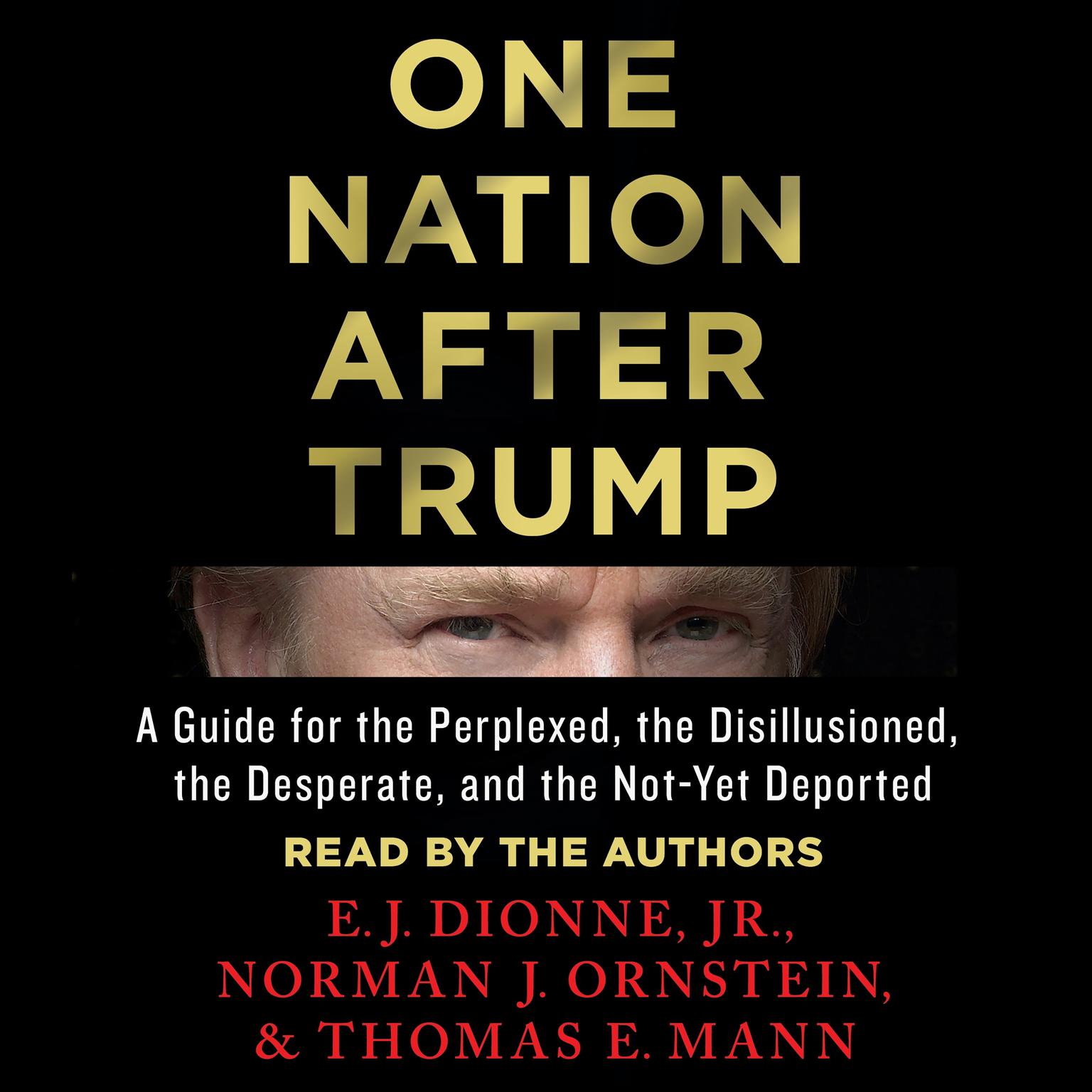 One Nation After Trump: A Guide for the Perplexed, the Disillusioned, the Desperate, and the Not-Yet Deported Audiobook, by E.J. Dionne