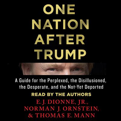 One Nation After Trump: A Guide for the Perplexed, the Disillusioned, the Desperate, and the Not-Yet Deported Audiobook, by E.J. Dionne