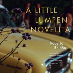 A Little Lumpen Novelita Audiobook, by Roberto Bolaño