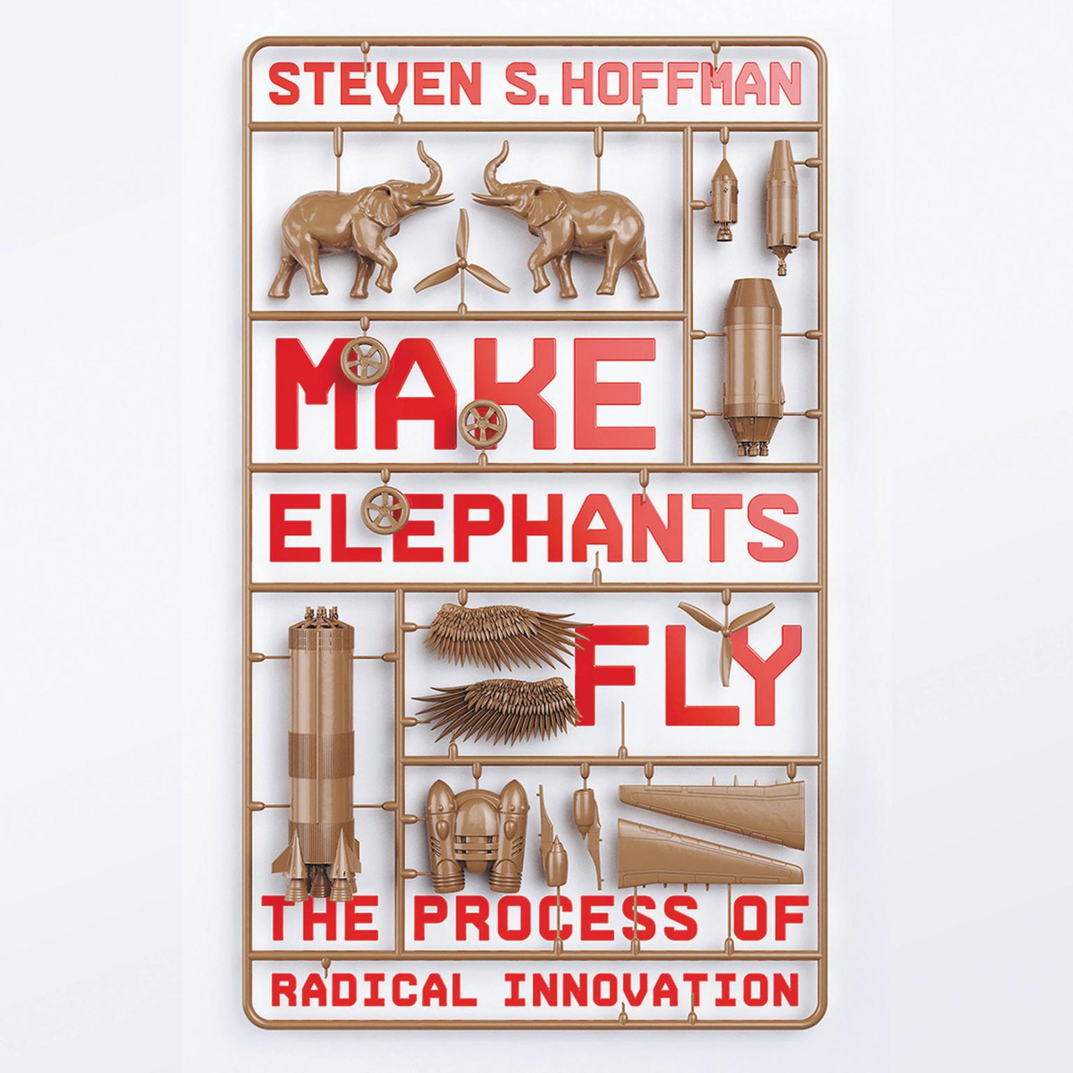 Make Elephants Fly: The Process of Radical Innovation Audiobook, by Steven S. Hoffman