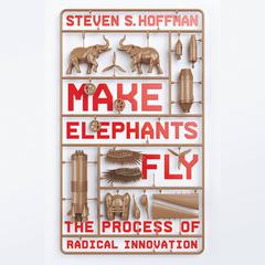 Make Elephants Fly: The Process of Radical Innovation Audiobook, by Steven S. Hoffman
