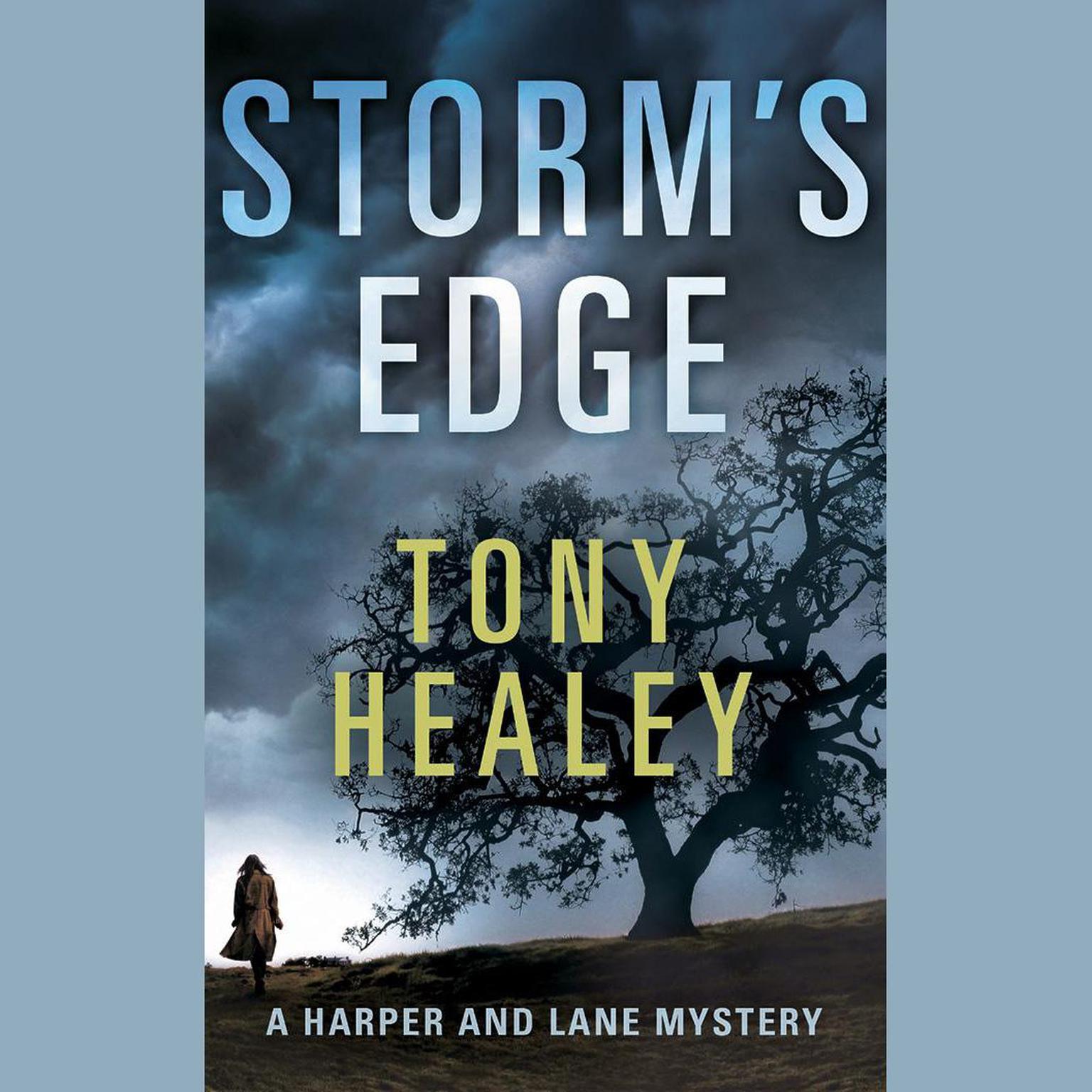 Storms Edge Audiobook, by Tony Healey