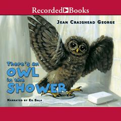 There's an Owl in the Shower Audiobook, by Jean Craighead George