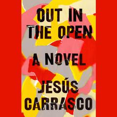 Out in the Open: A Novel Audiobook, by Jesús Carrasco