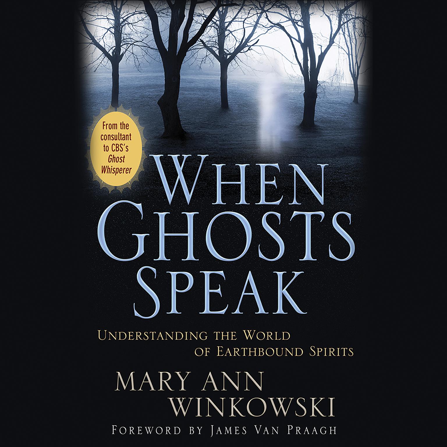 When Ghosts Speak: Understanding the World of Earthbound Spirits Audiobook, by Mary Ann Winkowski