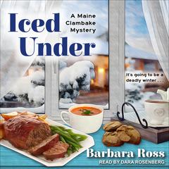 Iced Under Audiobook, by Barbara Ross